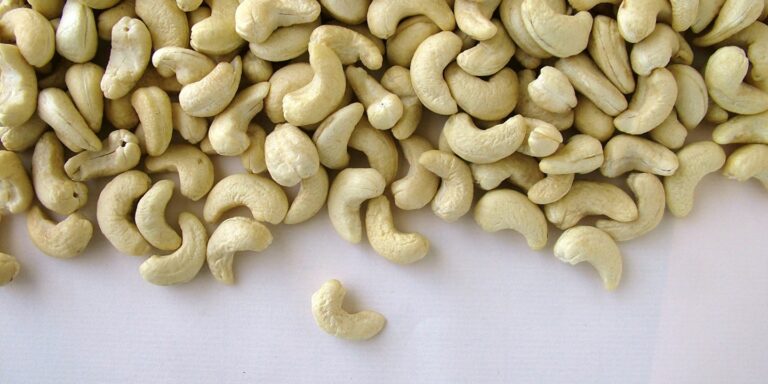 Elmatador Background Image-1