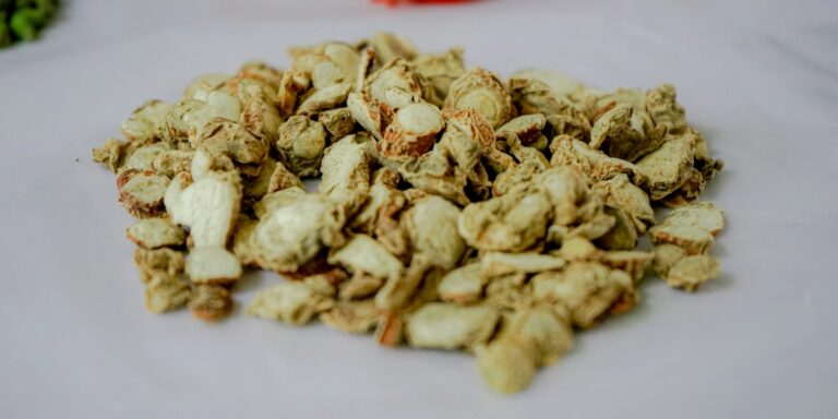 Elmatador Background Image-11