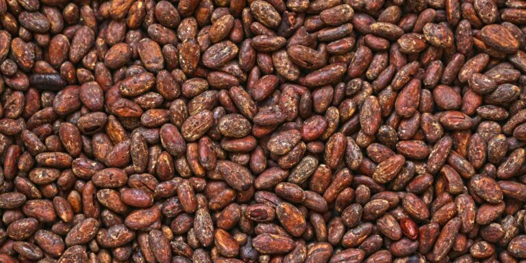 Elmatador Background Image-4