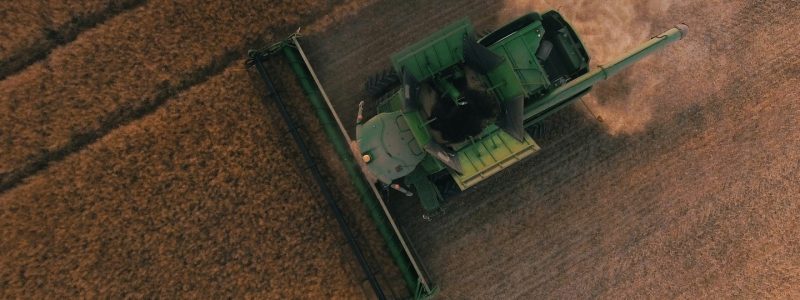 Elmatador Background Image-6